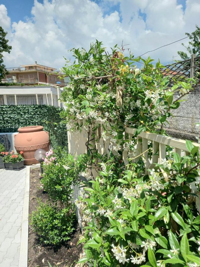 Parco Dei Gerani - Il Monolocale E La - And Formia