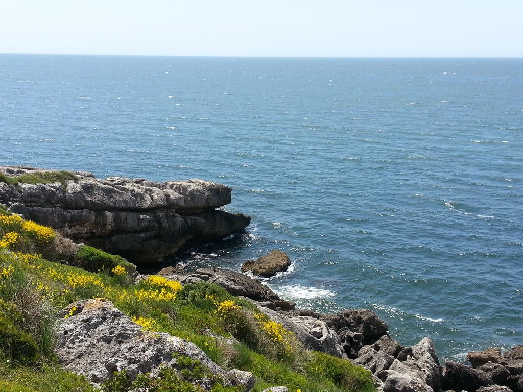 Parco Dei Gerani - Il Monolocale E La - And Gasthof Formia